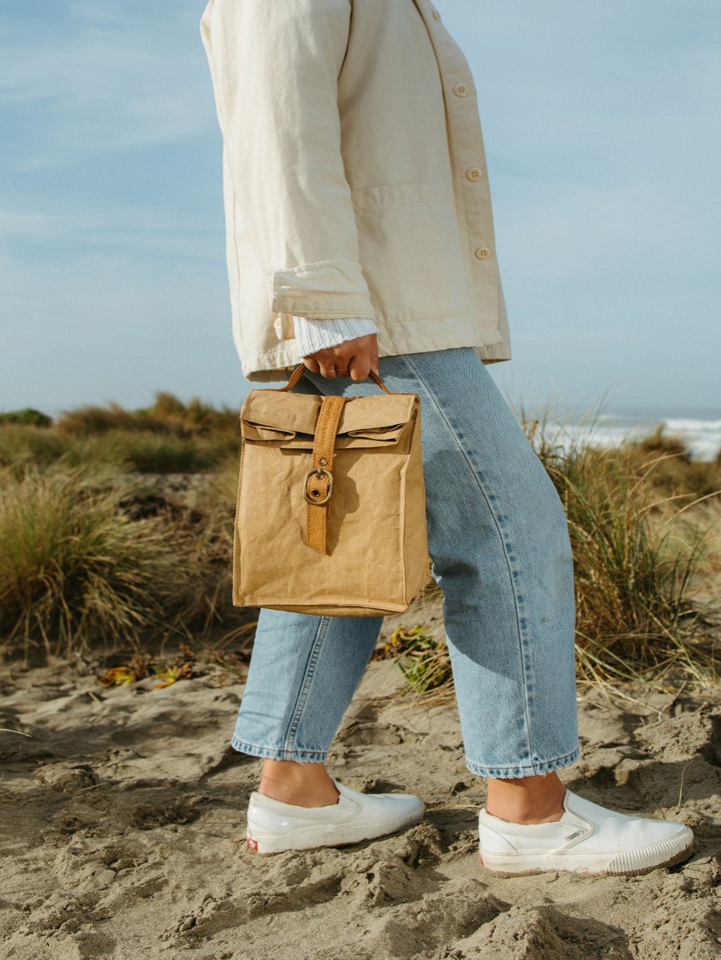 Paper Bag Lunch Cooler-1